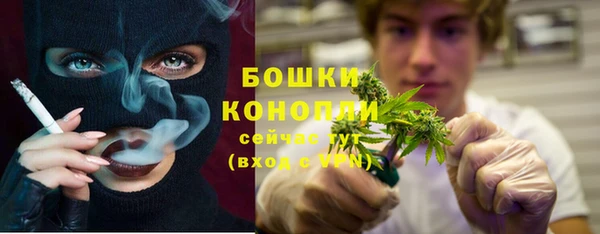 стафф Богородицк