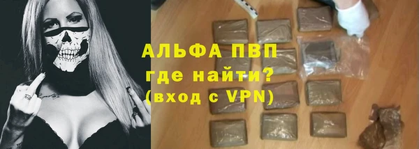 spice Богданович