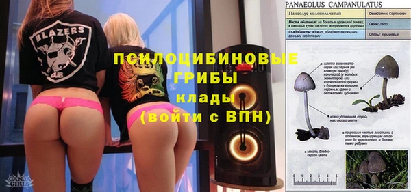 spice Богданович