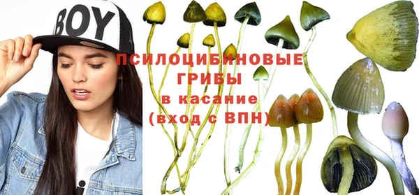 spice Богданович