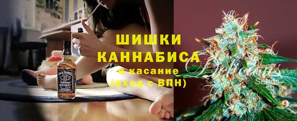 стафф Богородицк