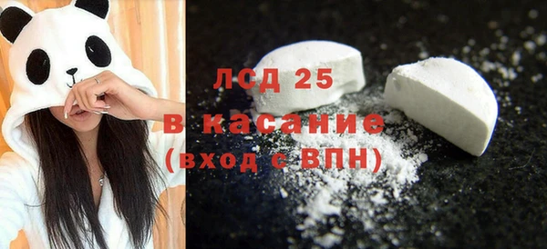 spice Богданович