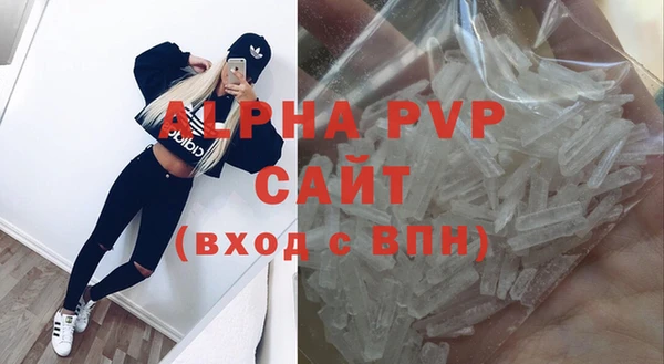 стафф Богородицк